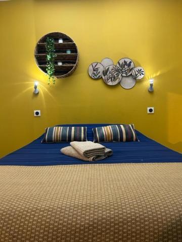 Chambre Privee - Appartement Lumineux Et Calme 알비 외부 사진